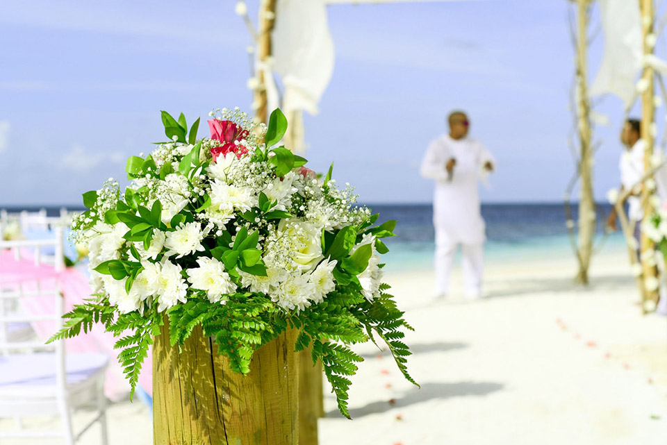 Best Wedding Florists In Queensland 2021 Wedding Diaries